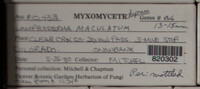 Image Associated With the Occurence